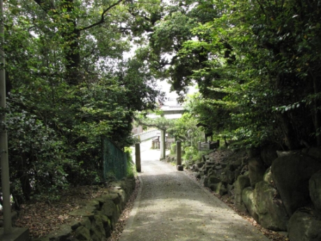 画像42